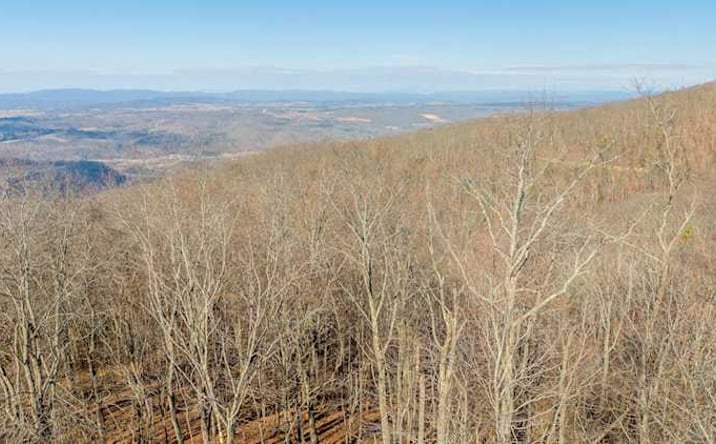 Pictures of Land property located at Lot 83 White Rock Trail, Caldwell, WV 24925 for sales - image #1