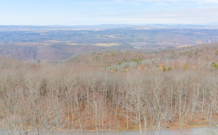 Pictures of Land property located at Lot 81 White Rock Trail, Caldwell, WV 24925 for sales - image #1