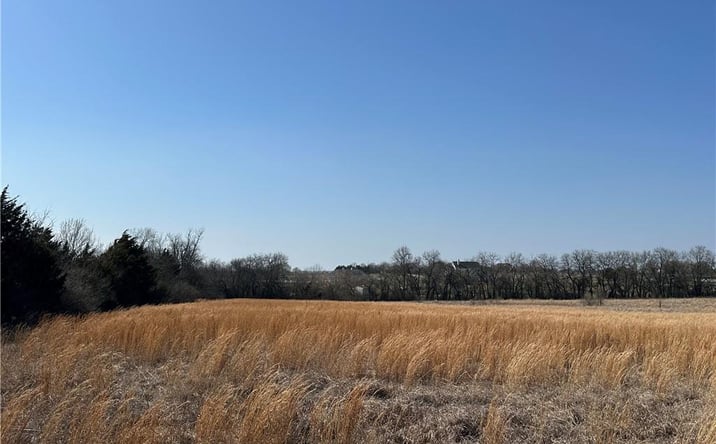 Pictures of Land property located at NS NT W 207th Street, Bucyrus, KS 66013 for sales - image #1
