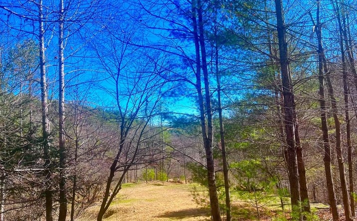 Pictures of Land, Multifamily property located at TBD Riverside Dr, Independence, VA 24348 for sales - image #1