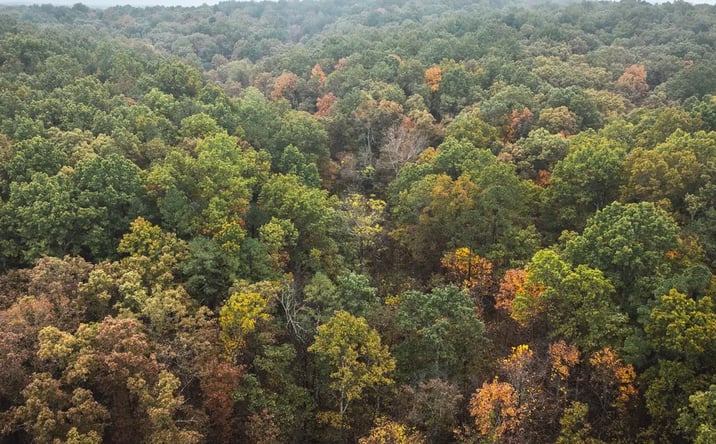 Pictures of Land property located at 000 Lodge Road, Berryman, MO 65565 for sales - image #1
