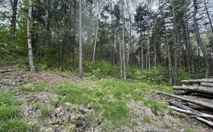 Pictures of Land property located at Lot 4 Ghastly Job Way, Wilmington, VT 05363 for sales - image #1
