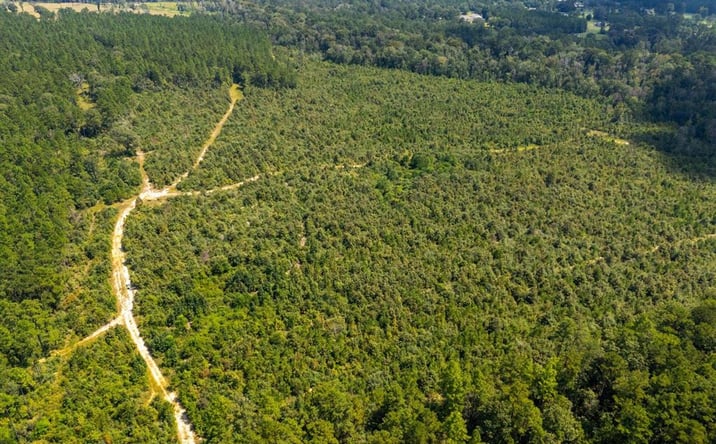 Pictures of Land property located at Paul McMillian Road, DeRidder, LA 70634 for sales - image #1