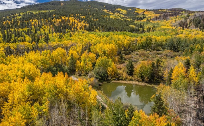 Pictures of Land, Mixed Use property located at 000 TBD County Road 28A, Twin Lakes, CO 81251 for sales - image #1