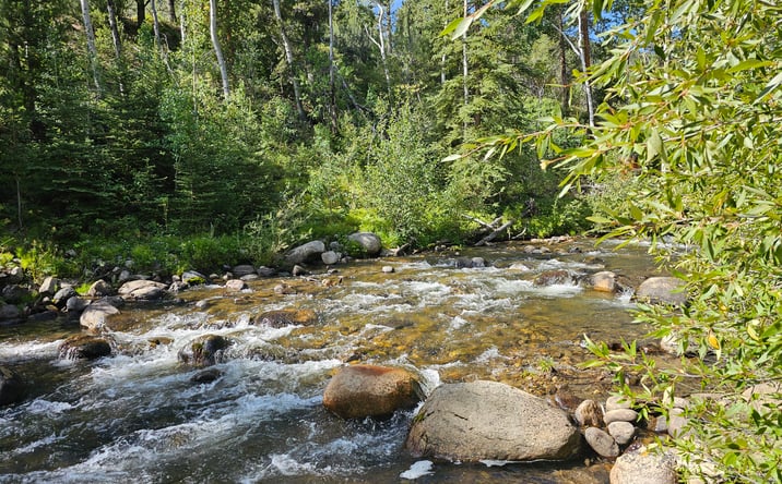 Pictures of Land property located at 19039 Monarch River Dr, Salida, CO 81201 for sales - image #1