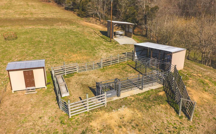 Pictures of Land property located at 3381 Upper Caney Valley Road, Tazewell, TN 37879-5905 for sales - image #1