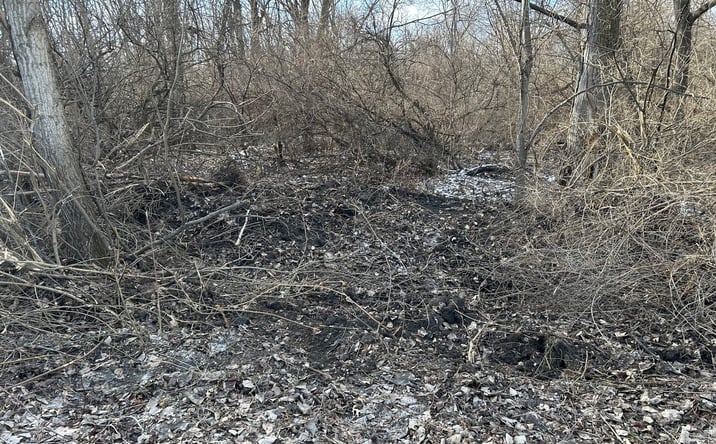 Pictures of Land property located at 15000 15500 Road, Pembroke Twp, IL 60958 for sales - image #1