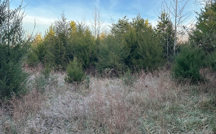Pictures of Land property located at Herzig Rd, Meherrin, VA 23954 for sales - image #1