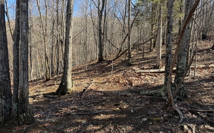 Pictures of Land property located at 2160 Zana Road, Salem, VA 24153 for sales - image #1
