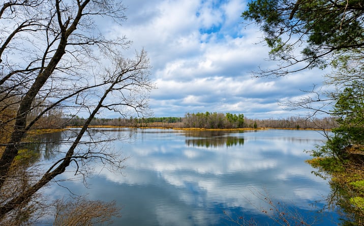 Pictures of Land property located at 157 Eulogy Rd, Lexington, MS 39095 for sales - image #1