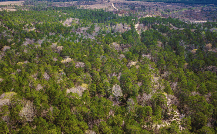 Pictures of Land property located at TBD Tract 5 Triple Creek Loop, LIVINGSTON, TX 77351 for sales - image #1