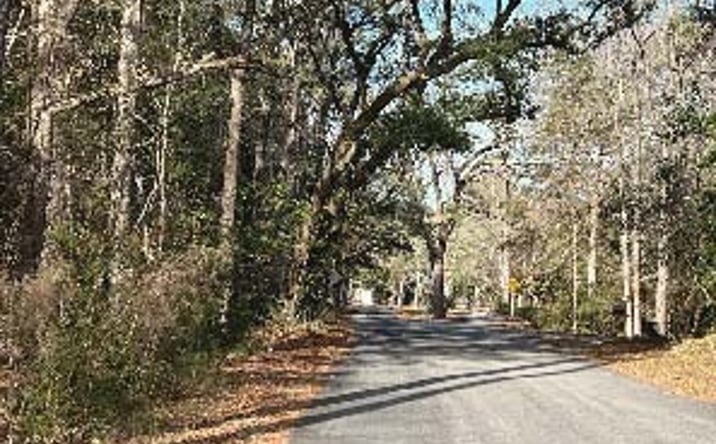 Pictures of Land property located at Trexler Ave, Hollywood, SC 29449 for sales - image #1