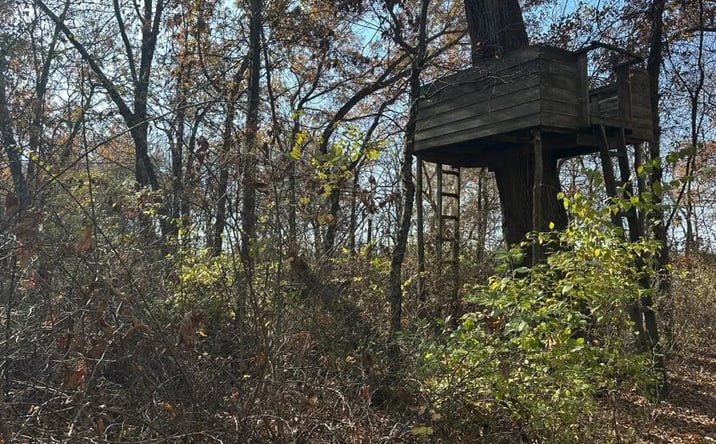 Pictures of Land property located at Indian Springs Recreational Retreat, Vermilion, IL 61834 for sales - image #1