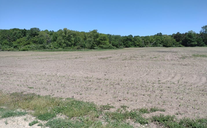 Pictures of Land property located at -D 118th Avenue, Fennville, MI 49408 for sales - image #1