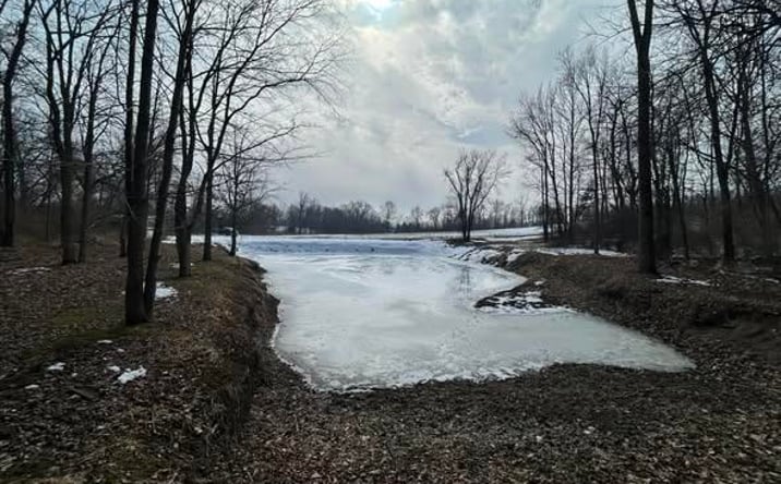 Pictures of Land property located at 5018 S Rumsey Road, Pittsford, MI 49271 for sales - image #1