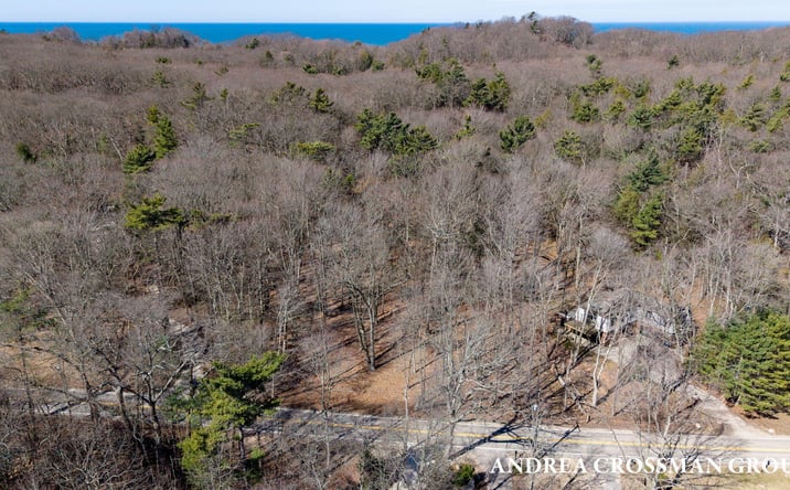 Pictures of Land property located at 110 Park Street, Saugatuck, MI 49453 for sales - image #1