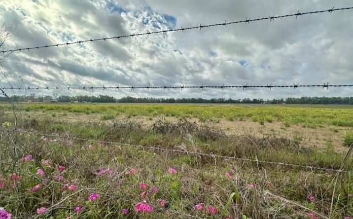 Pictures of Land property located at SW 80th St, Trenton, FL 32693 for sales - image #1