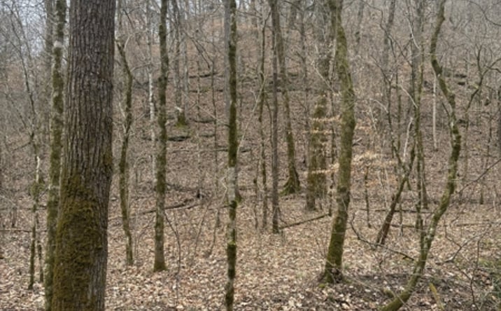 Pictures of Land property located at Otter Creek Rd, Burkesville, KY 42717 for sales - image #1