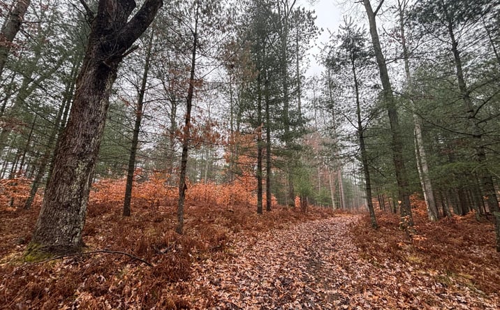 Pictures of Land, Special Purpose property located at 6270 S Woods Trail, Custer, MI 49405 for sales - image #1