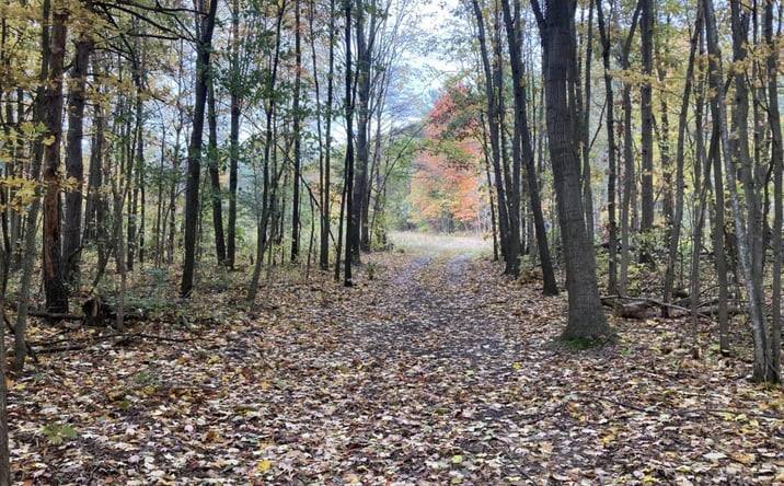 Pictures of Land, Special Purpose property located at 130th Avenue, Fennville, MI 49408 for sales - image #1