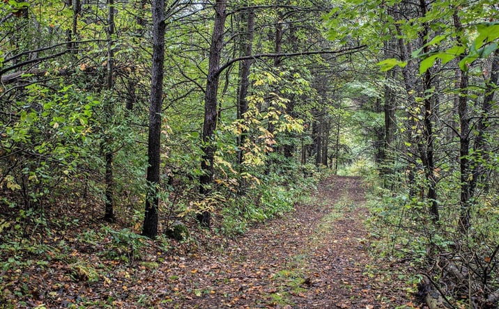Pictures of Land property located at V/L Collier Ave Avenue, Battle Creek, MI 49017 for sales - image #1