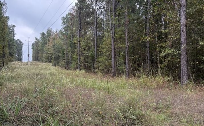 Pictures of Land property located at TBD MC 35, Doddridge, AR 71834 for sales - image #1