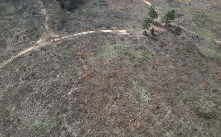 Pictures of Land property located at TBD TX HWY 8, Linden, TX 75563 for sales - image #1