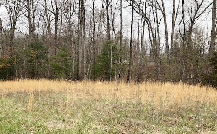 Pictures of Land, Multifamily property located at TBD Della Lane, Austinville, VA 24312 for sales - image #1