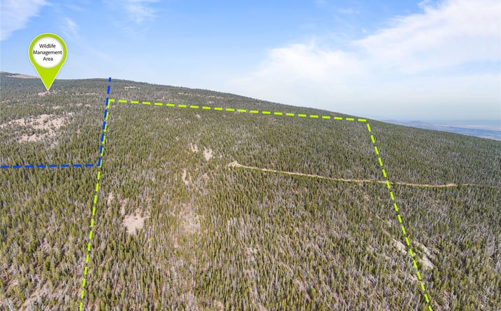 Pictures of Land property located at NHN Rosa Trail, Anaconda, MT 59711 for sales - image #1