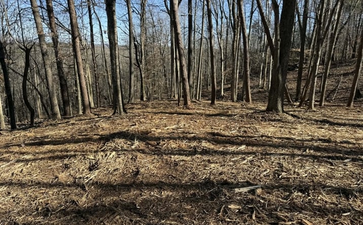 Pictures of Land, Special Purpose property located at Lot #12 N Taxiway Dr, Albany, KY 42602 for sales - image #1