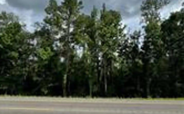 Pictures of Land property located at 7 Florida Boulevard, Holden, La 70744, Holden, LA 70744 for sales - image #1