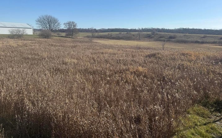 Pictures of Land property located at 18 Mile Rd, Big Rapids, MI 49307 for sales - image #1
