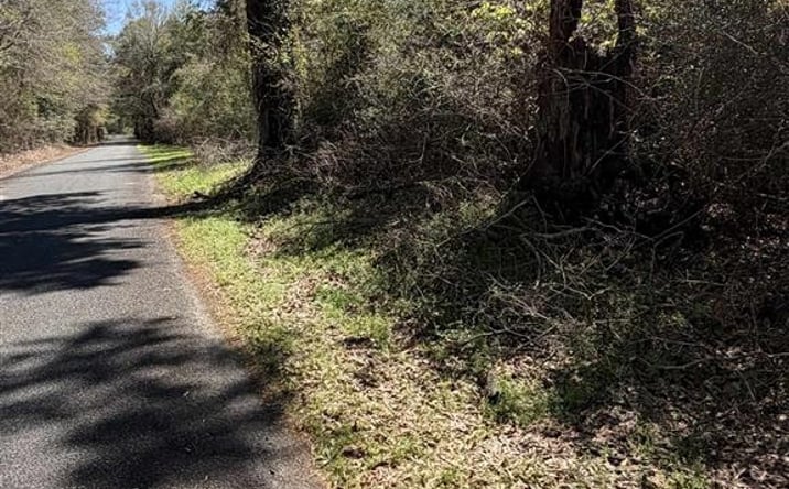 Pictures of Land property located at Simmons Road, DeRidder, LA 70634 for sales - image #1