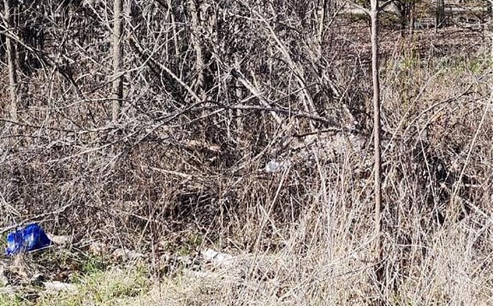 Pictures of Land, Special Purpose, Multifamily property located at 37 Oakdale Court, Linn Valley, KS 66040 for sales - image #1