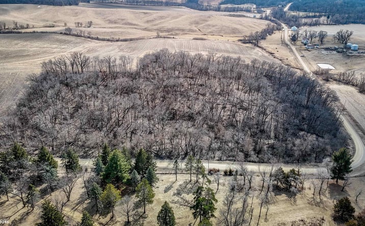 Pictures of Land property located at TBD 102 Avenue, Wheatland, IA 52777 for sales - image #1