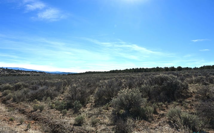 Pictures of Land property located at Pajarito Road, Tierra Amarilla, NM 87575 for sales - image #1
