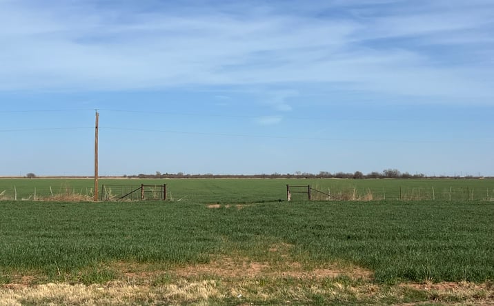 Pictures of Land property located at State Highway 6, Crowell, TX 79227 for sales - image #1
