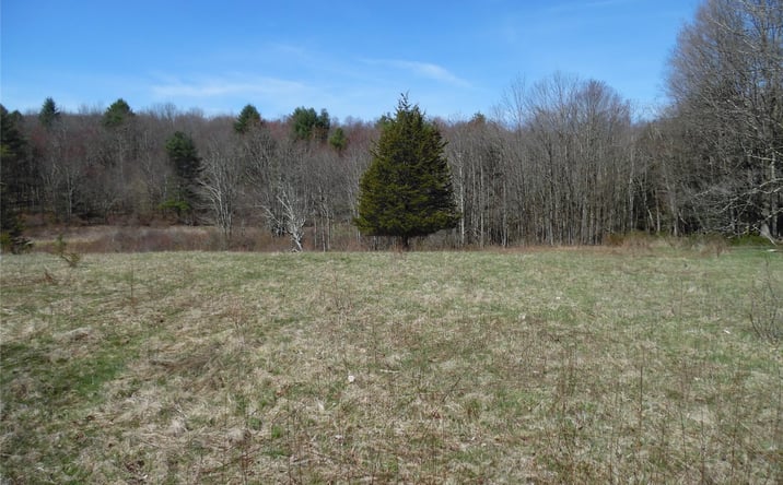 Pictures of Land property located at Creamery Road, Bethel, NY 12720 for sales - image #1