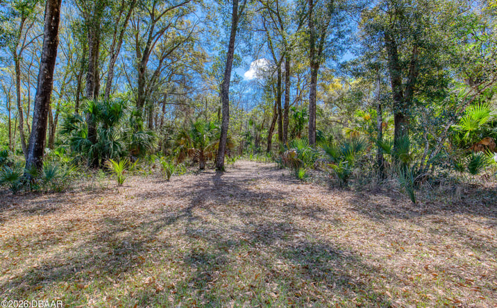Pictures of Land property located at 1801 Adrian Creek Boulevard, Port Orange, FL 32128 for sales - image #1