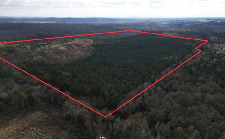 Pictures of Land property located at CR 2912 Hughes Springs, Hughes Springs, TX 75656 for sales - image #1