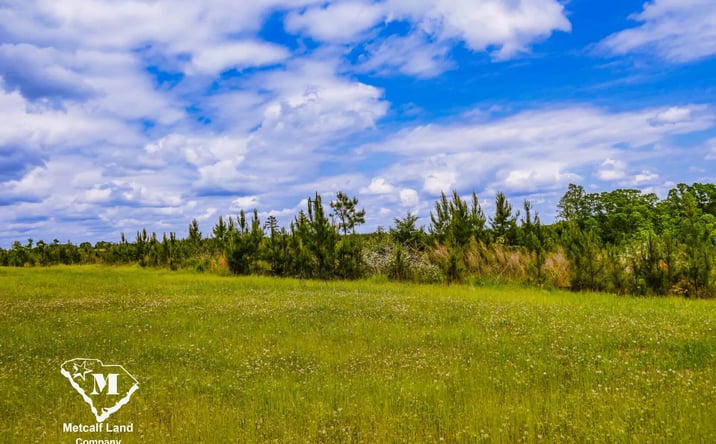 Pictures of Land property located at Battlefield Rd, Enoree, SC 29335 for sales - image #1