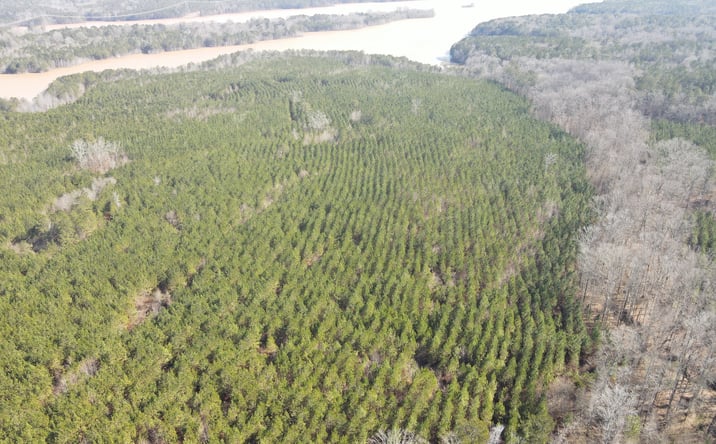 Pictures of Land property located at Rocky Creek Road, Hampton, GA 30228 for sales - image #1