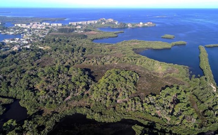 Pictures of Land property located at Bay Blvd, Port Richey, FL 34668 for sales - image #1