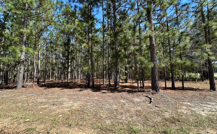 Pictures of Land property located at Mimosa Dr Lot 1, Gaston, SC 29053 for sales - image #1