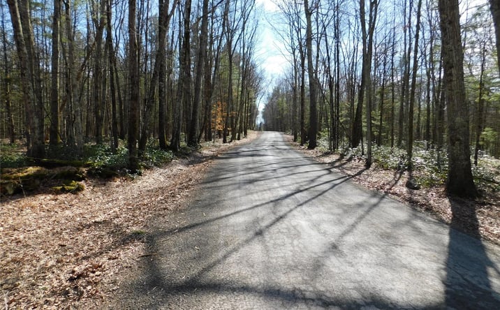Pictures of Land property located at TBD Wright Rd, Rochester, NY 12446 for sales - image #1