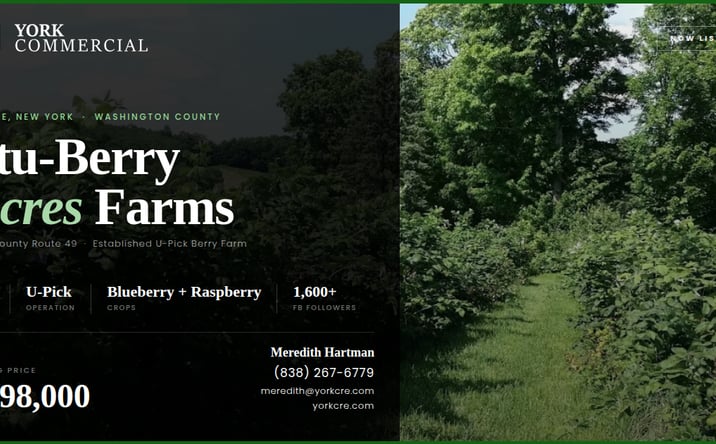 Pictures of Business for Sale, Land property located at 1483 County Rte 49, Argyle, NY 12809 for sales - image #1