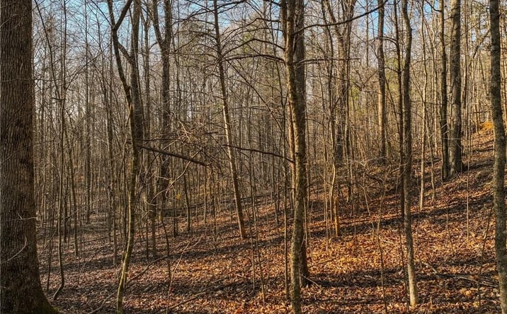 Pictures of Land property located at Lot 12 Mincie Mountain Rd, Murrayville, GA 30564 for sales - image #1