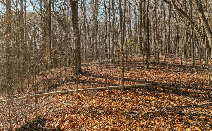 Pictures of Land property located at Lot 5 Mount Mincie Road, Murrayville, GA 30564 for sales - image #1