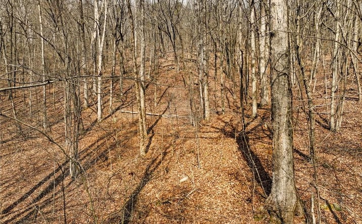 Pictures of Land property located at Lot 6 Mount Mincie Road, Murrayville, GA 30564 for sales - image #1