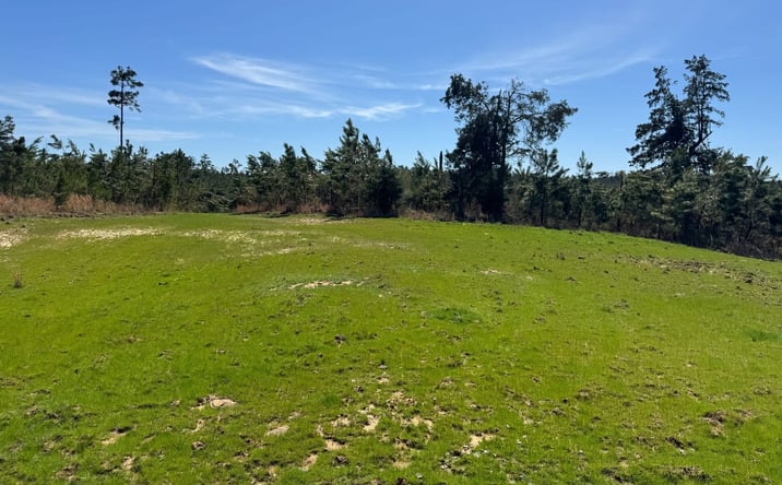 Pictures of Land property located at Duck Hill Ranch Road, Duck Hill, MS 38925 for sales - image #1